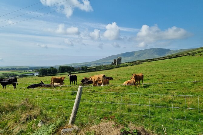 Dingle: Hour Slea Head Drive Tour 4hr - Personal Chauffeur Guide - Coumeenoole Beach: scenery with a tight timetable
