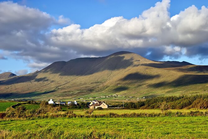 Dingle Peninsula and Slea Head Day Tour - Forty-five minutes in Dingle town