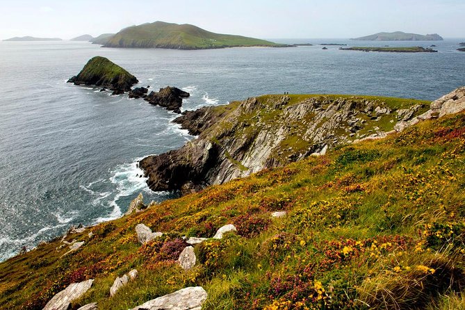 Dingle Peninsula Day Tour from Cork: Including The Wild Altanic Way - The return journey and the bus-transfer issue