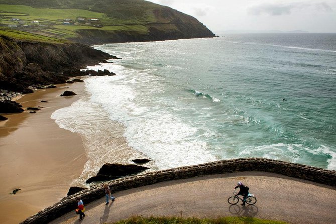 Dingle Peninsula Day Tour from Cork: Including The Wild Altanic Way - Killarney: one hour and an optional carriage ride