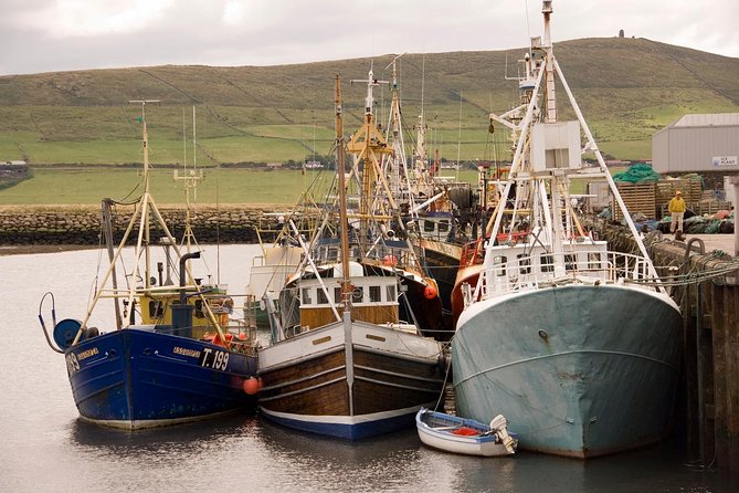 Dingle Peninsula Day Tour from Limerick: The Wild Atlantic Way - Key points at a glance