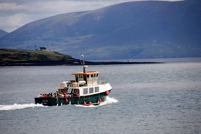 Dingle Peninsula Day Tour from Limerick: The Wild Atlantic Way - Inch Beach brings the Atlantic close