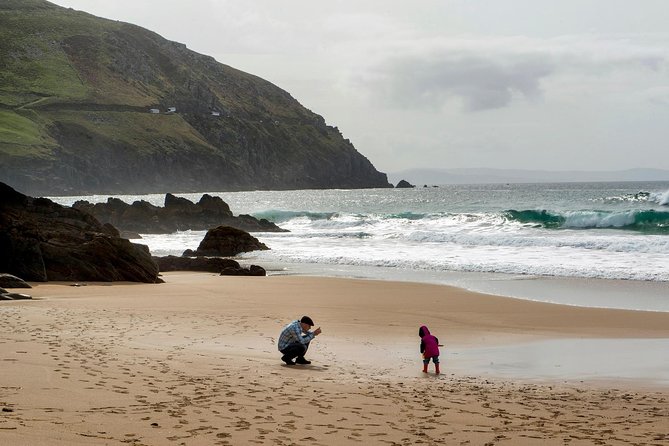Dingle Peninsula Day Tour from Limerick: The Wild Atlantic Way - Comfort, transport, and the real cost