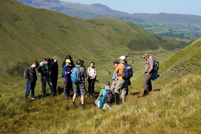 Dingle Peninsula Guided Walking Tour - How the price compares with the experience