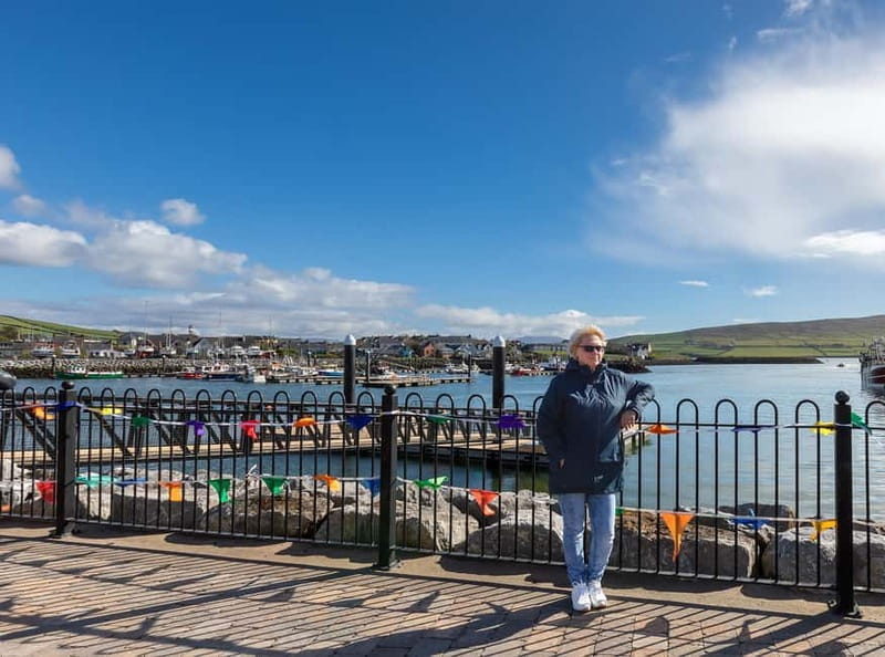 Dingle Peninsula & Slea Head Drive: Tour from Killarney - Starting from Killarney, Kenmare, Tralee, or Dingle