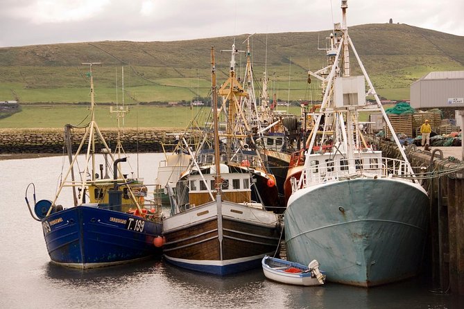 Dingle Peninsula Tour from Killarney: Including Wild Atlantic Way - Dingle town: 90 minutes by the harbor