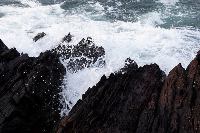 Dingle Peninsula Tour from Killarney: Including Wild Atlantic Way - The coach, comfort, and advertised extras