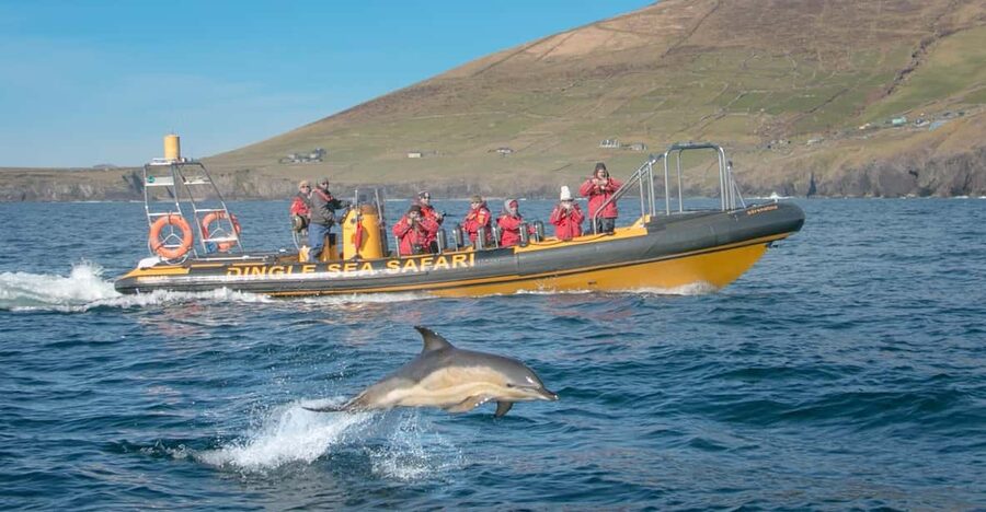 Dingle: Sea Safari by RIB Boat - Sea caves and the West Kerry cliffs