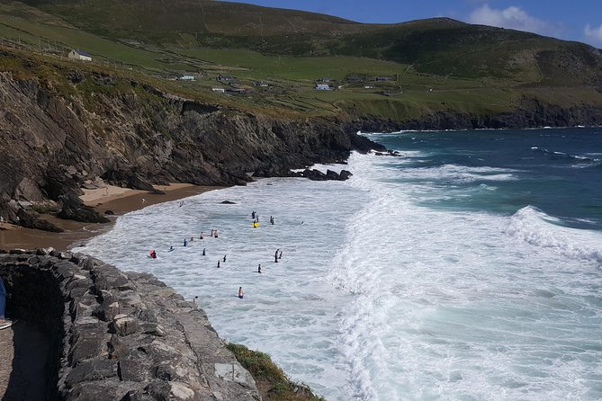 Dingle: Slea Head Drive Tour 3hr- Personal Chauffeur Guide - Setting out from Dingle Harbour