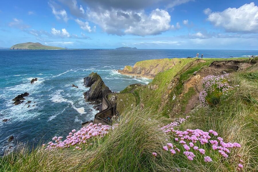 Dingle: Slea Head Photo And Sightseeing Tour - Who should book the Slea Head outing?