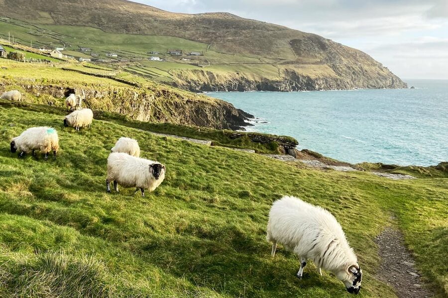 Dingle: Slea Head Photo And Sightseeing Tour - Coumeenoole Strand and the Atlantic edge