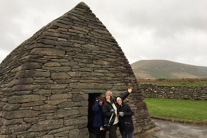 Dingle Town & Peninsula Private Chauffeur Driven Day Tour From Killarney Luxury - Slea Head Drive and Cashel Murphy
