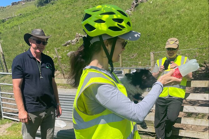 Discover Connemara Tour by Electric Fat Tyre Bike - Loch Na Fooey and the lookout stop