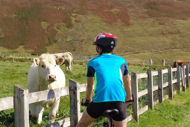 Donegal Coast One Day Self-Guided E-Bike Tour - Starting Near Carrick With a Route in Hand