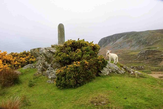 Donegal Coast One Day Self-Guided E-Bike Tour - The Value of $59.13