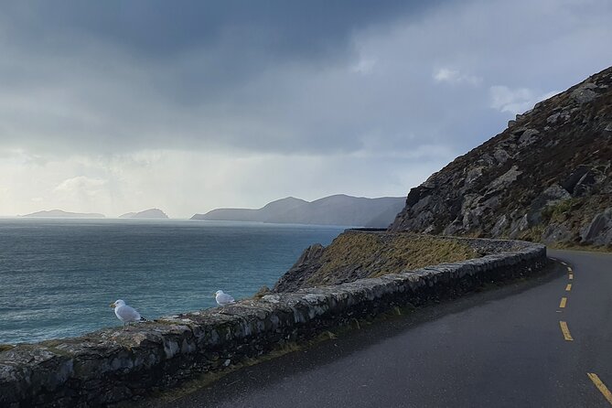 Dublin Airport to Galway ,Private Chauffeur Service - What makes the driver service useful