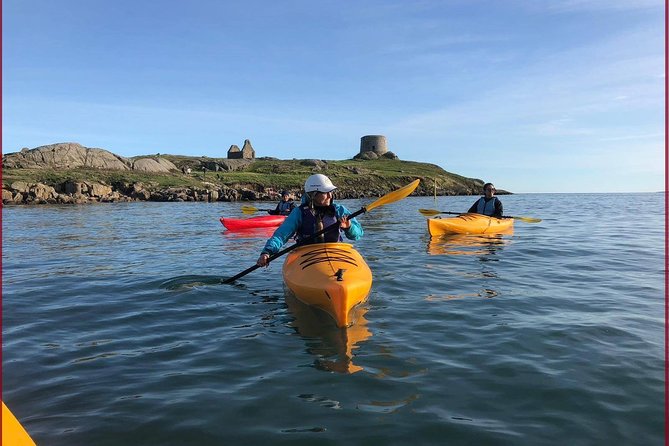Dublin Bay Seal Kayaking Safari at Dalkey - Key points to know before you paddle