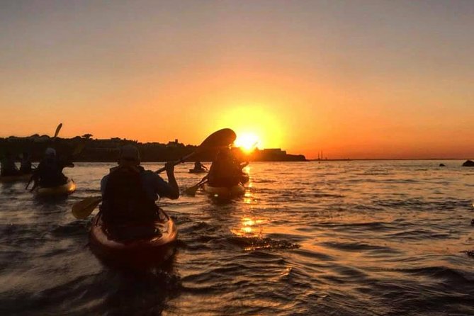 Dublin Bay Seal Kayaking Safari at Dalkey - Bullock Harbour is a lively place to begin
