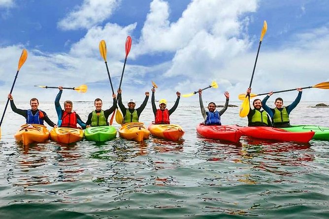 Dublin Bay Seal Kayaking Safari at Dalkey - The guides make a real difference