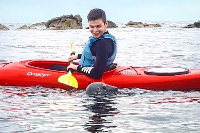 Dublin Bay Seal Kayaking Safari at Dalkey - The first paddle gives you a new view of Dublin Bay