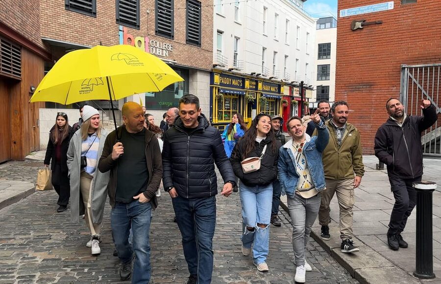 Dublin: Bucket List Sights Walking Tour - Dubh Linn Garden and the Viking harbor