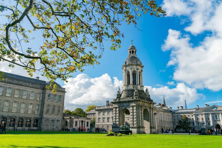 Dublin City Walking Tour, Vikings, St. Partick, Highlights - Dublin Castle and the Viking connection