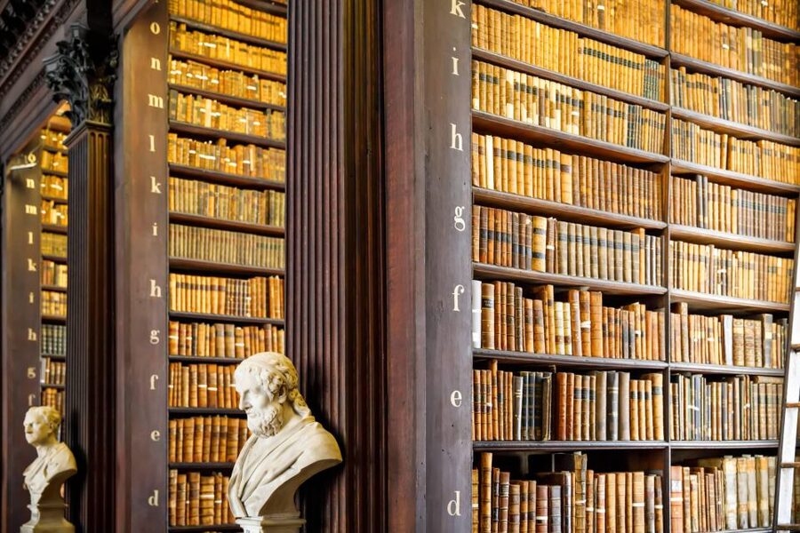 Dublin City Walking Tour, Vikings, St. Partick, Highlights - Four hours and the Book of Kells