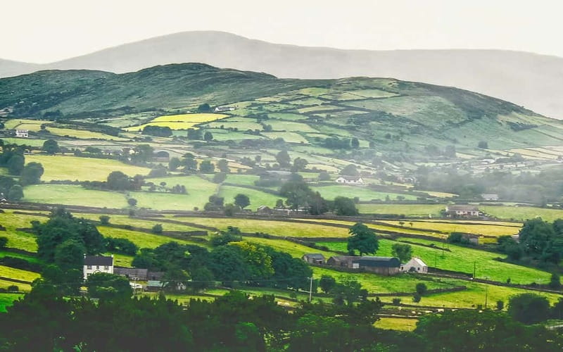 Dublin: Cliffs of Moher, Bunratty Castle and Ennis Day Trip - What the $56 price really includes