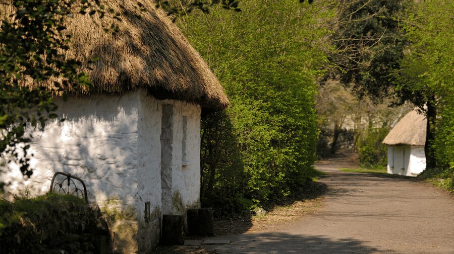 Dublin: Cliffs of Moher, Ennis, & Bunratty Castle Day Tour - What the coach ride is really like