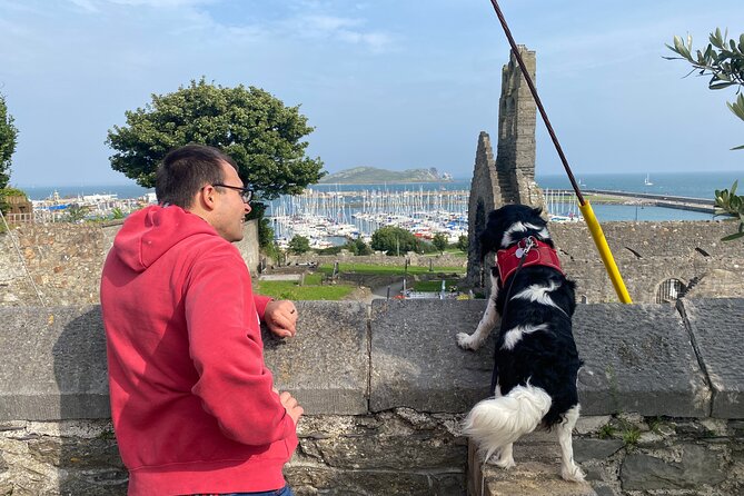 Dublin Coastal Hike and Pints with A local & His Dog Private tour - St. Mary’s Abbey brings old stones into the walk