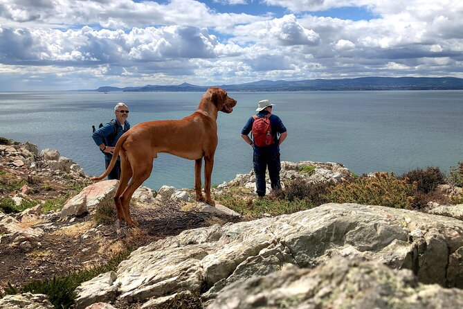 Dublin Coastal Hike with Howth Adventures - Starting at Howth Market and the harbor