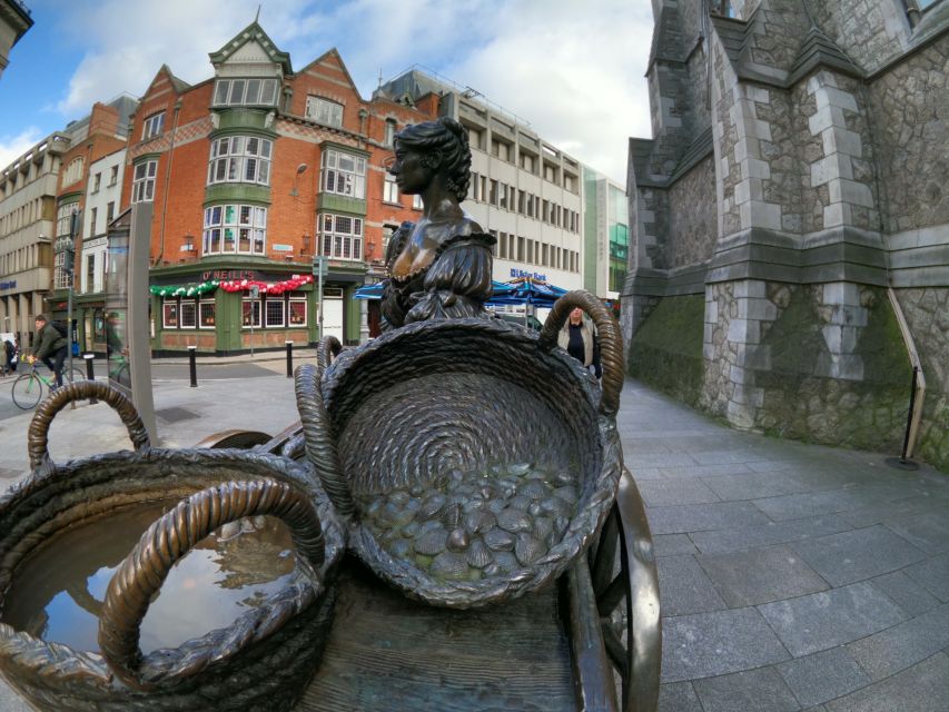 Dublin: Dublin City Highlights Private Guided Walking Tour - St. Stephen’s Green and the city’s government quarter