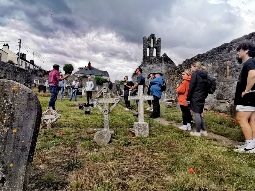 Dublin: Dublin Coastal Hike and Pints & Puppies - Seals, Shoreline, and the Natural Side of Howth