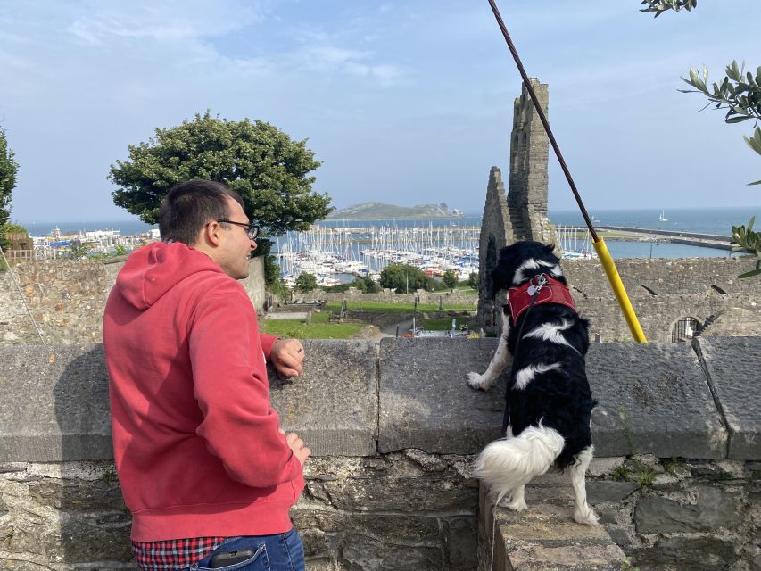 Dublin: Dublin Coastal Hike and Pints & Puppies - A 700-Year-Old Castle and St. Mary’s Abbey
