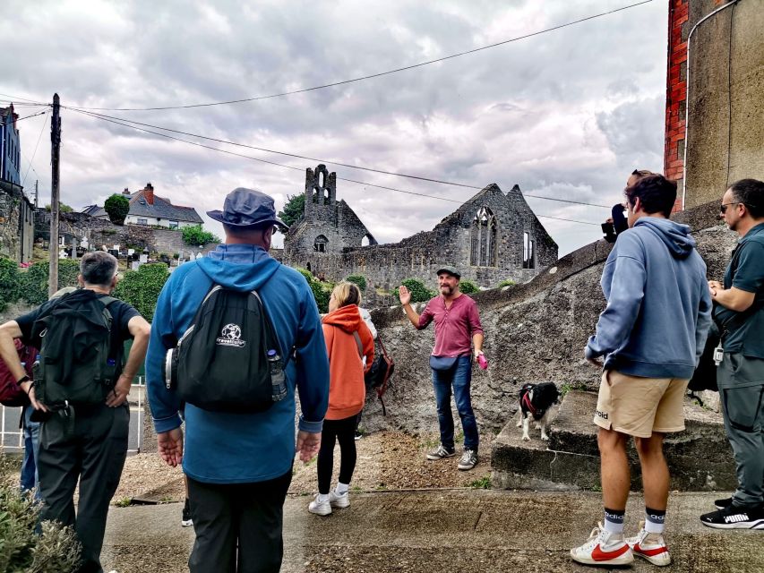 Dublin: Dublin Coastal Hike and Pints & Puppies - Is $53 a Fair Price?