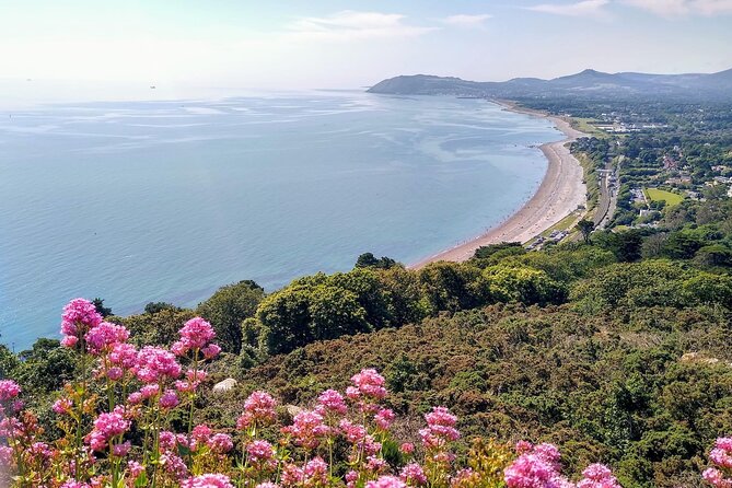 Dublin (Dun Laoghaire) Top-Rated Coastal Walking Tour - People’s Park and the historic Metals lane