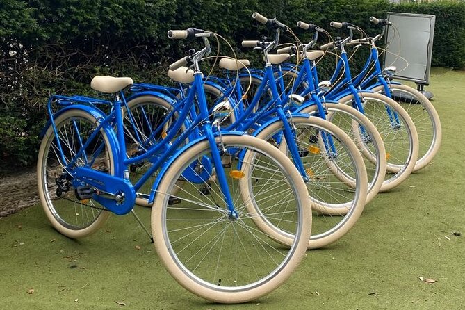 Dublin Full Day Bike Rental - Starting at Gate House on Chesterfield Avenue