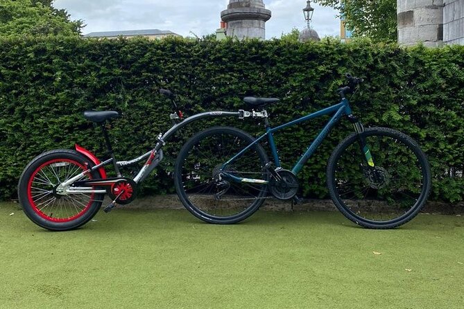 Dublin Full Day Bike Rental - Watching the Deer Herds Without Rushing