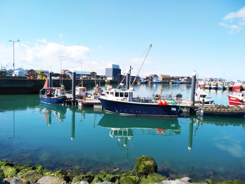 Dublin: Full-Day Howth and Malahide Castle Tour - The road through Dublin Bay