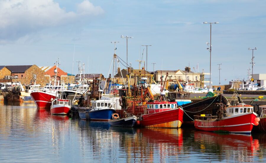 Dublin: Full-Day Howth and Malahide Castle Tour - Free time in Howth Harbour
