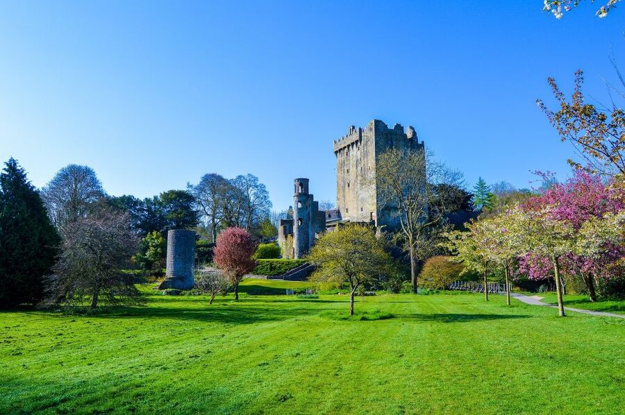 Dublin: Full-Day Tour to Cork, Cobh and Blarney Castle - The small details that make the day easier