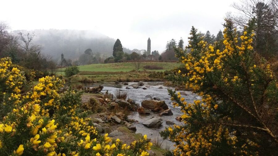 Dublin: Full-Day Wicklow Mountains Tour w/ Glendalough Visit - Meeting at the Gresham Hotel at 9:30 AM