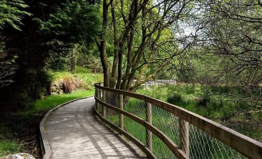 Dublin: Full-Day Wicklow Mountains Tour w/ Glendalough Visit - What the $67 Price Really Covers