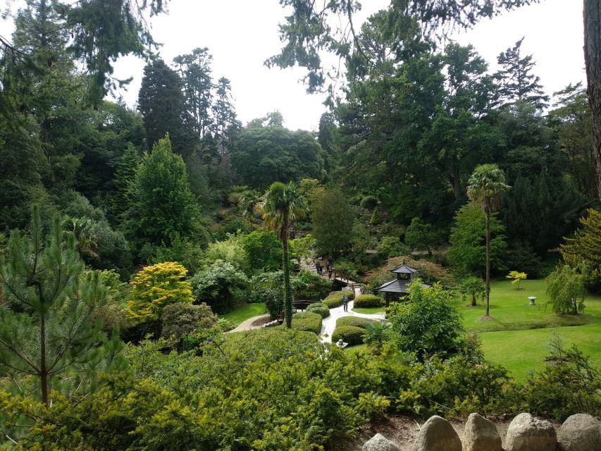 Dublin: Full-Day Wicklow Mountains Tour w/ Glendalough Visit - Languages, Cancellation, and Minimum Numbers
