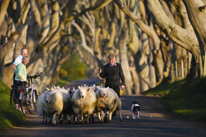 Dublin: Giant's Causeway, Dark Hedges, Dunluce and Belfast Titanic entrance fee - Titanic Belfast: the strongest indoor stop