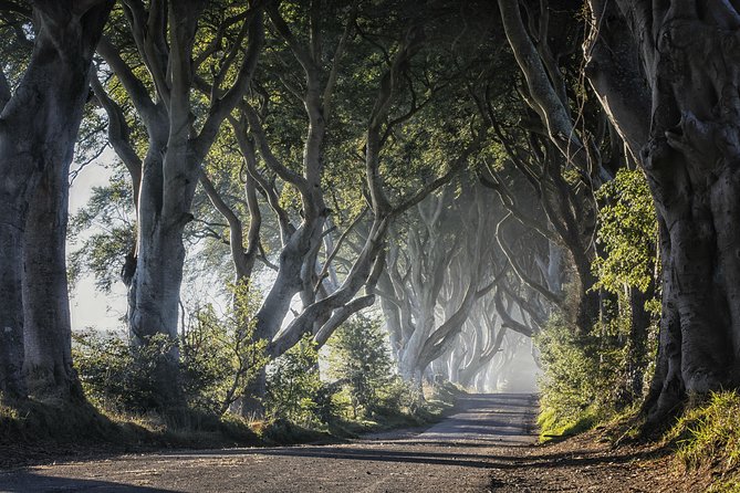Dublin: Giant's Causeway, Dark Hedges, Dunluce and Belfast Titanic entrance fee - What the guide and driver add