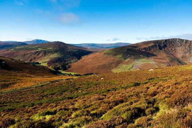 Dublin: Glendalough, Wicklow, Kilkenny and Sheepdog demonstration - How the guides shape the day