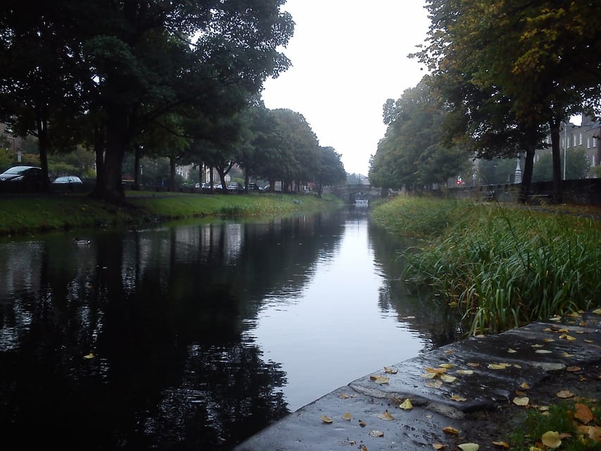 Dublin: Grand Canal Cruise with Dinner - The deck, the bar, and the evening mood