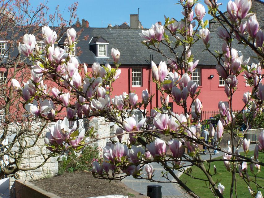 Dublin: Highlights and Hidden Corners Walking Tour - Fishamble Street and Smock Alley