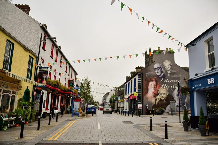Dublin: Historical and Cultural Historical Walking Tour - Fifteen Minutes in Temple Bar